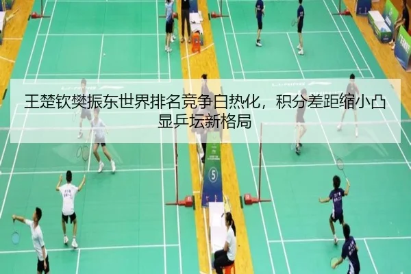 王楚钦樊振东世界排名竞争白热化，积分差距缩小凸显乒坛新格局