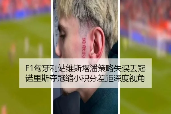 F1匈牙利站维斯塔潘策略失误丢冠 诺里斯夺冠缩小积分差距深度视角
