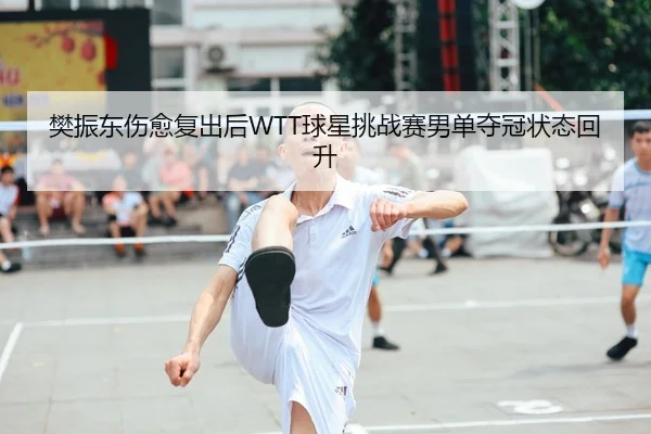 樊振东伤愈复出后WTT球星挑战赛男单夺冠状态回升